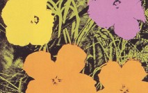 Flowers (67), 1970 screenprint 36 x 36
